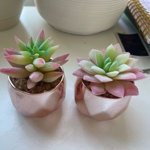 artificial plastic succulents pink and green